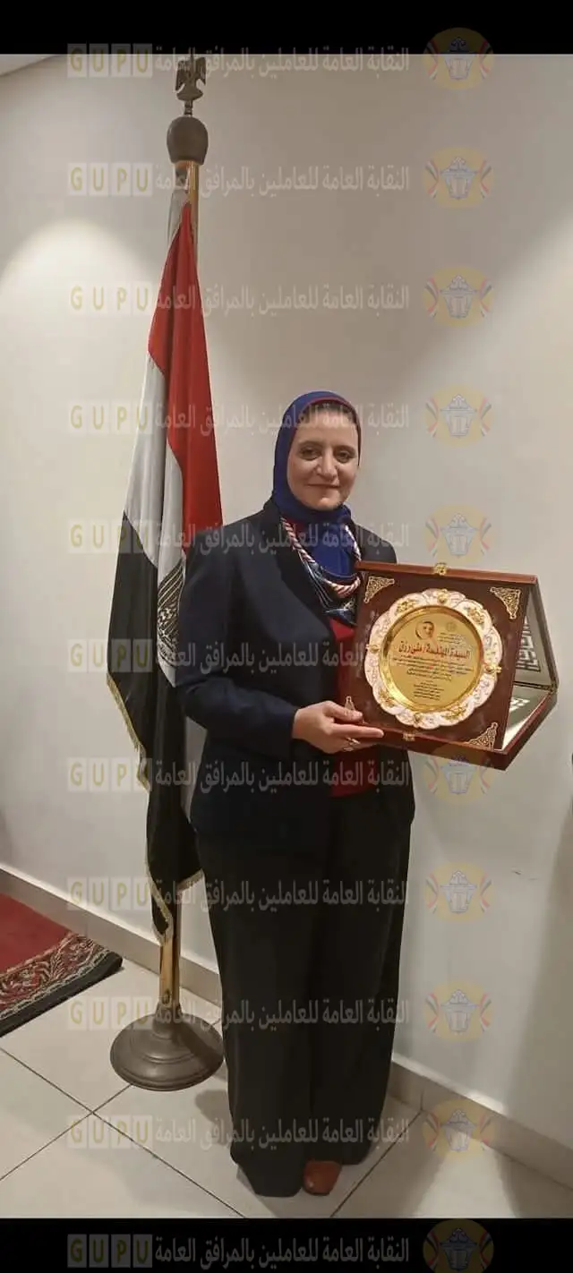 المصريه لنقل الكهرباء