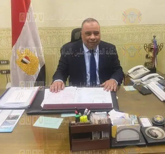 شركة جنوب القاهرة لتوزيع الكهرباء